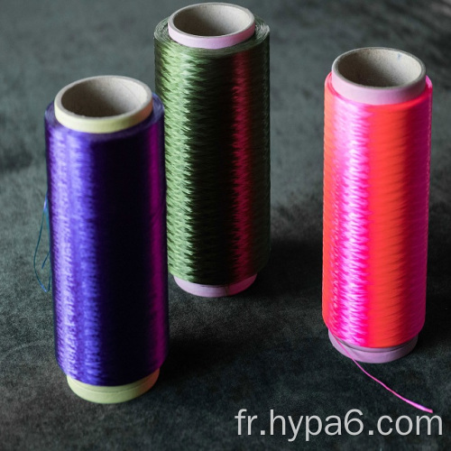 Application de ceinture à double torsion 630D Nylon Yarn